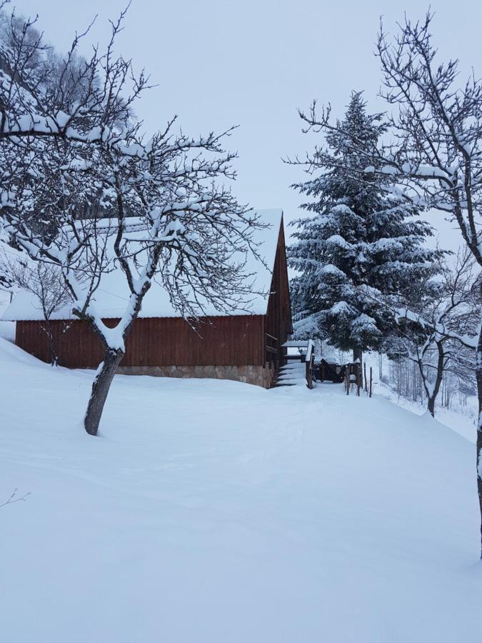 Detached House Milivoje Poscenje Exterior foto