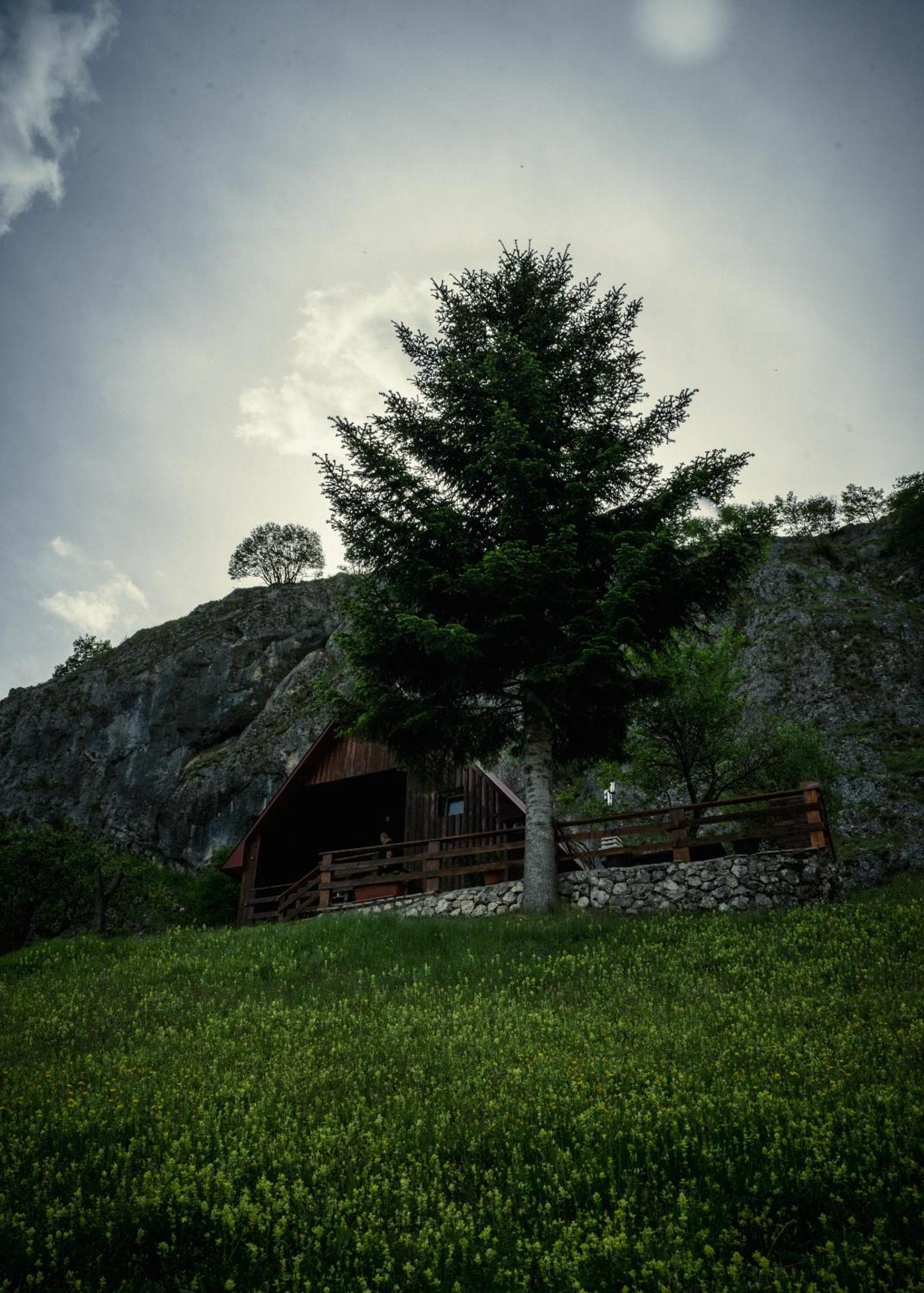 Detached House Milivoje Poscenje Exterior foto